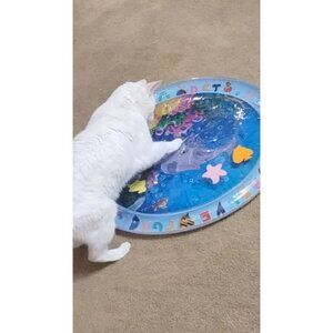 Cat Play Mat Floating Fish Toy for Pets - Fun Exercise Interactive